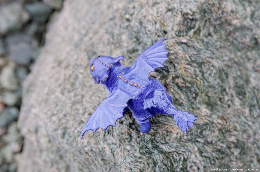 Маленький дракон из альпийских ночных фурий (фото 8)