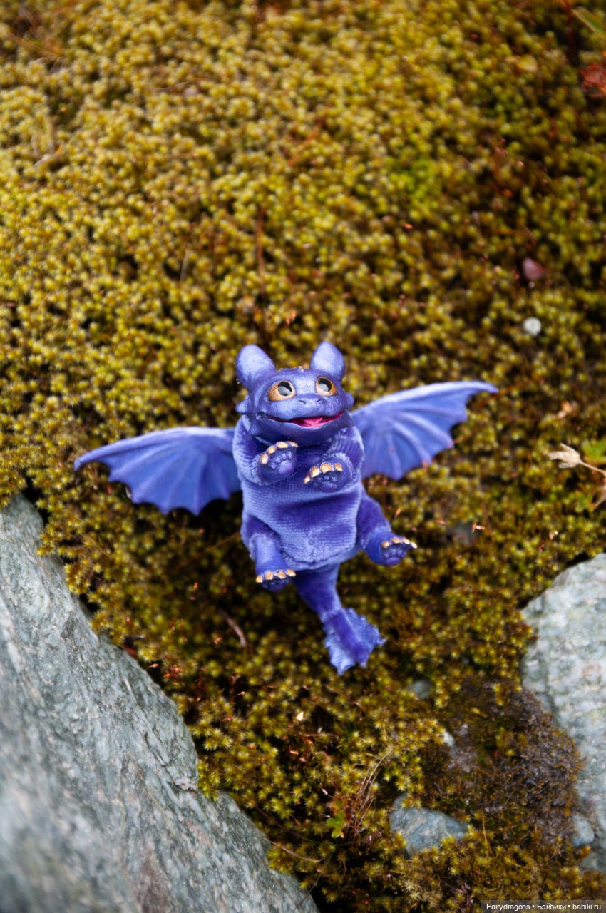 Маленький дракон из альпийских ночных фурий (фото 5)