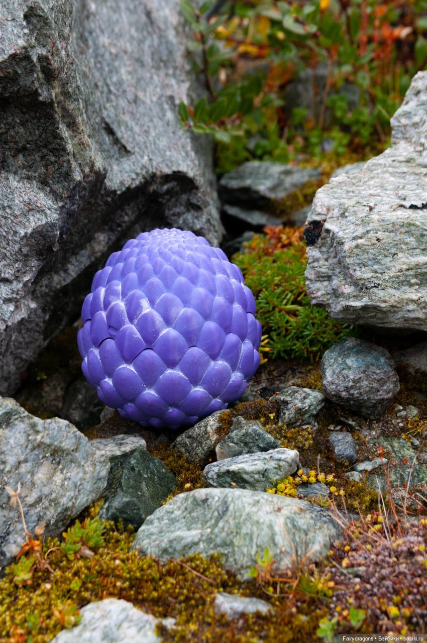Маленький дракон из альпийских ночных фурий (фото 2)