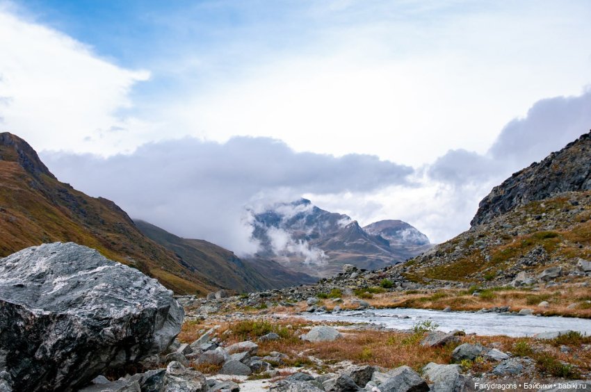 Маленький дракон из альпийских ночных фурий