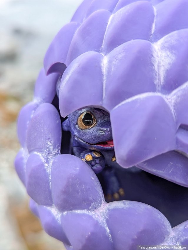 Маленький дракон из альпийских ночных фурий (фото 3)