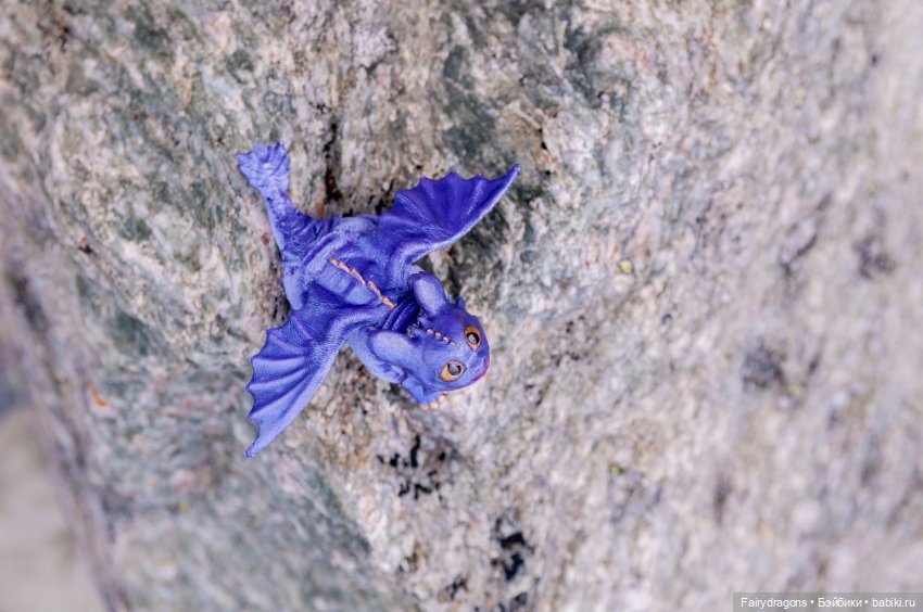 Маленький дракон из альпийских ночных фурий (фото 9)