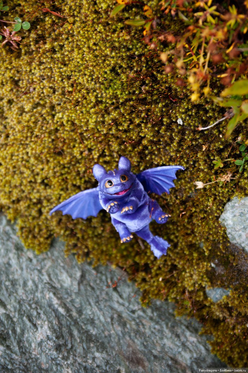 Маленький дракон из альпийских ночных фурий (фото 6)