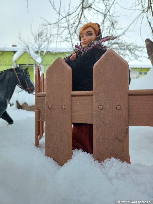Выйду на улицу, гляну на село (фото 10)