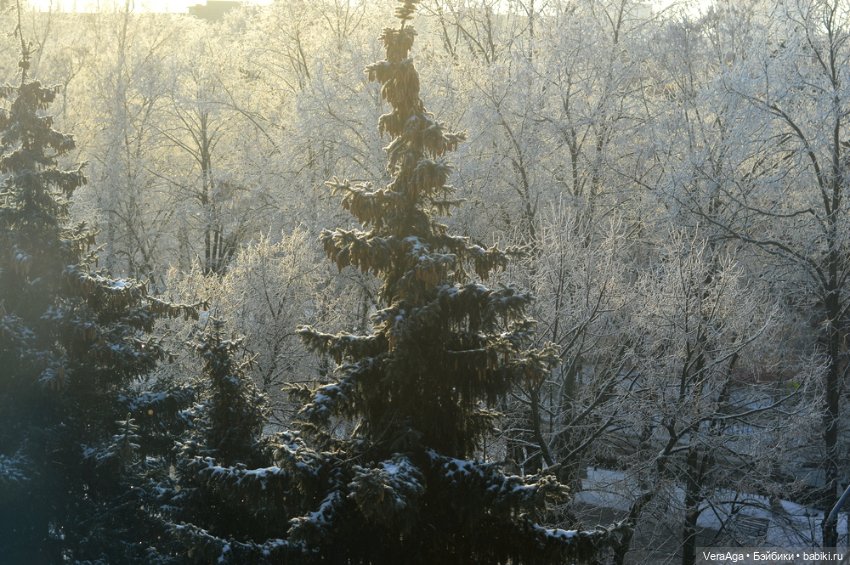 Январские морозы — Болталка и разговоры обо всем: жизнь