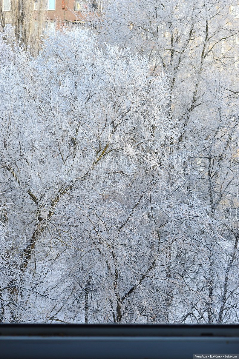 Январские морозы — Болталка и разговоры обо всем: жизнь (фото 8)