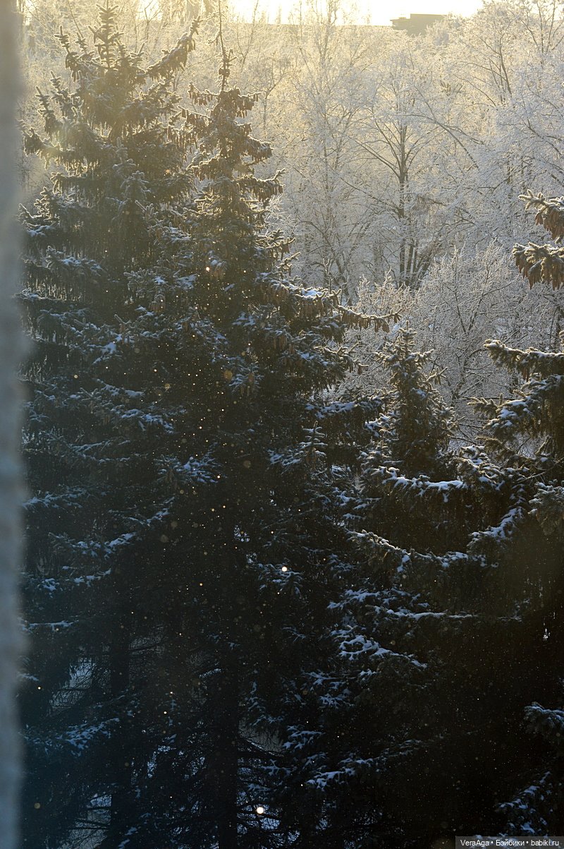 Январские морозы — Болталка и разговоры обо всем: жизнь (фото 10)