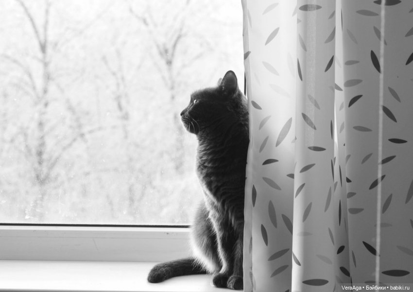 Январские морозы — Болталка и разговоры обо всем: жизнь (фото 7)