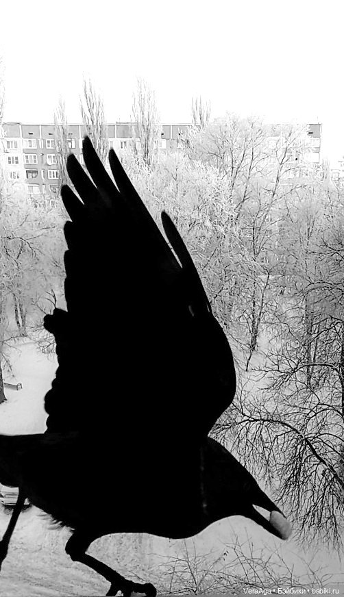 Январские морозы — Болталка и разговоры обо всем: жизнь