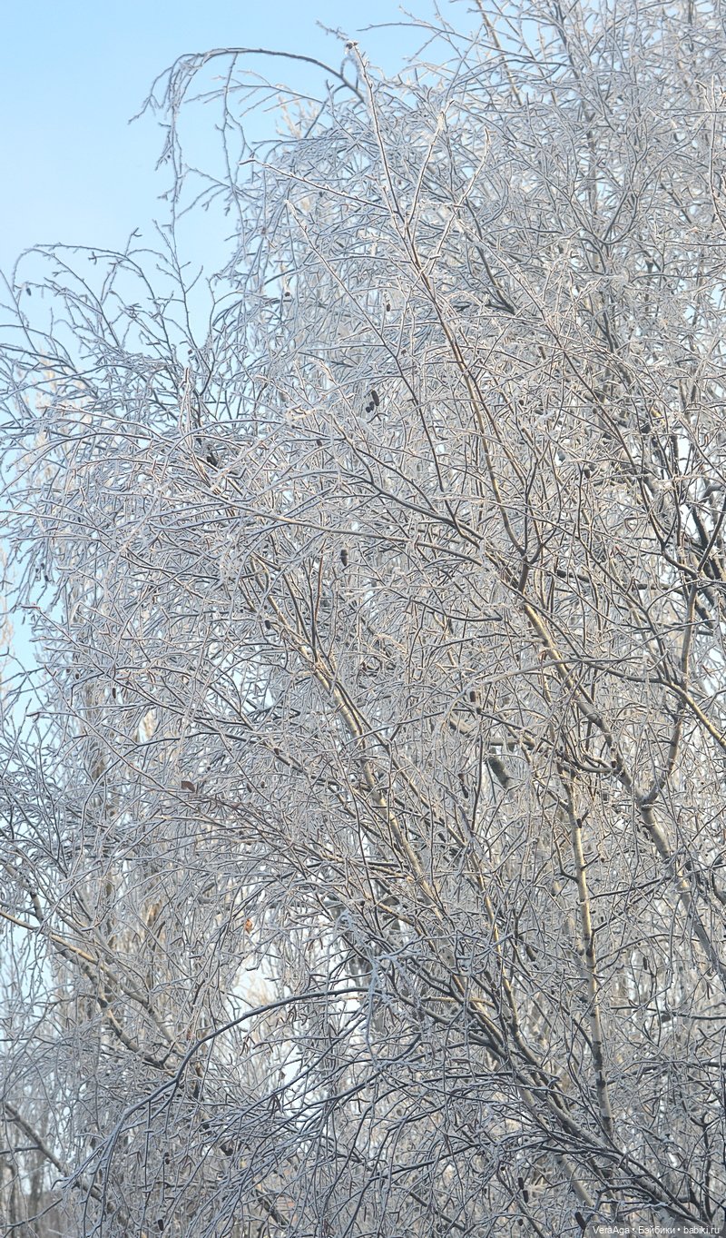 Январские морозы — Болталка и разговоры обо всем: жизнь