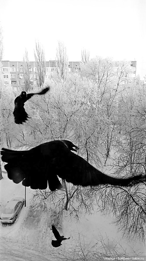 Январские морозы — Болталка и разговоры обо всем: жизнь