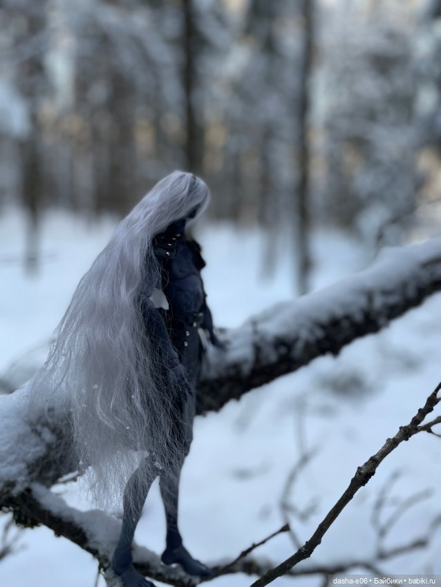 Зимний лес — Авторские куклы BJD (БЖД) у нас дома: фото (фото 4)