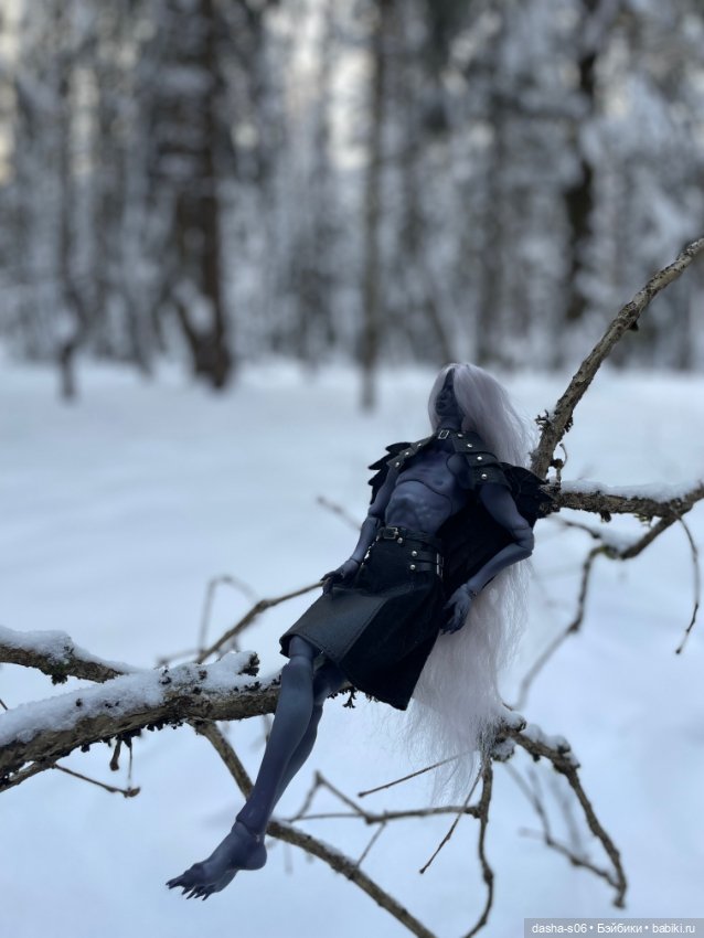 Зимний лес — Авторские куклы BJD (БЖД) у нас дома: фото (фото 9)