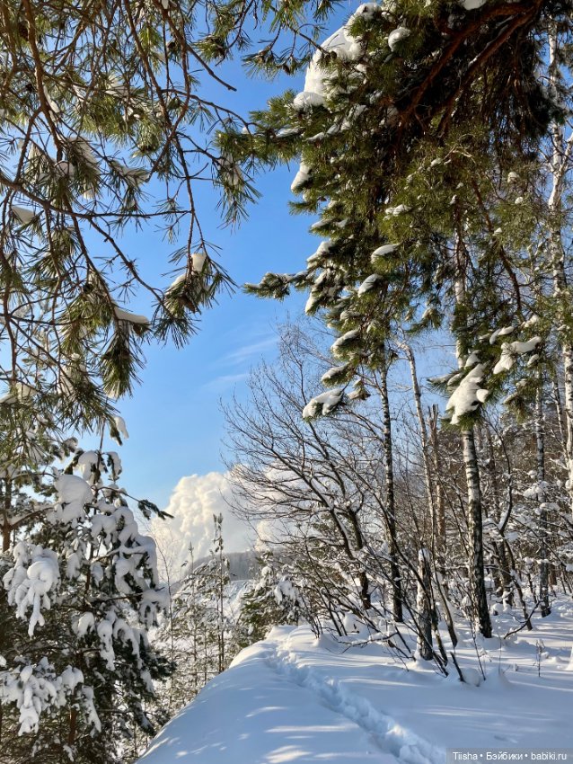 Чудесный зимний день — Куклы Strawberry Planet: Redberry