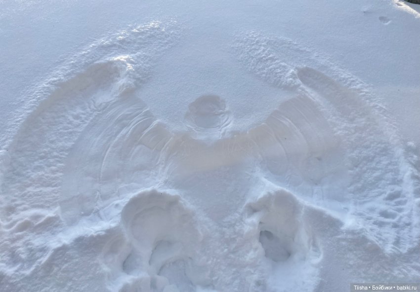 Чудесный зимний день — Куклы Strawberry Planet: Redberry