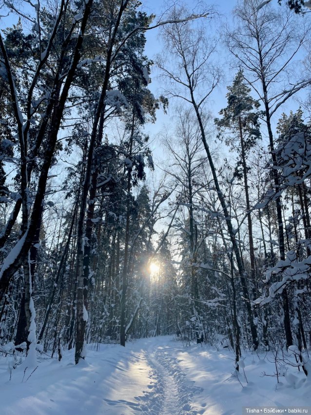 Чудесный зимний день — Куклы Strawberry Planet: Redberry