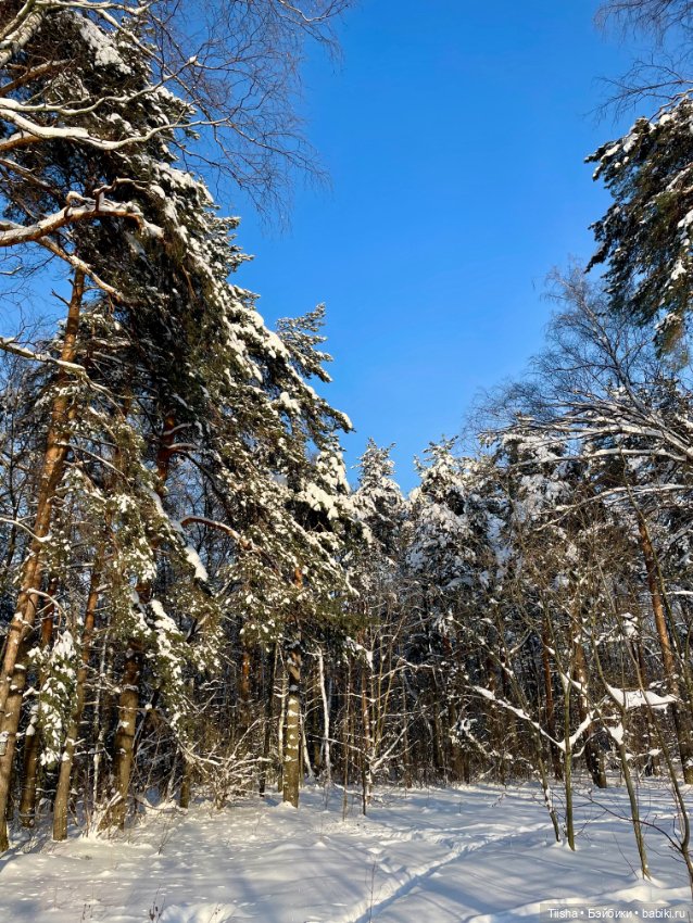 Чудесный зимний день — Куклы Strawberry Planet: Redberry