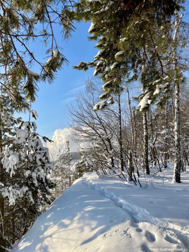 Чудесный зимний день — Куклы Strawberry Planet: Redberry