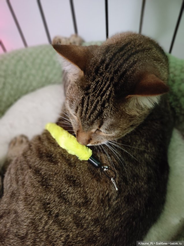 Фсякое подарочное🎄🎄🎄 — Разные шарнирные куклы (не БЖД): редкие