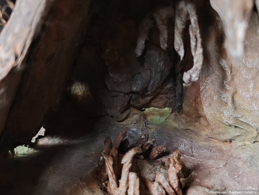 Миниатюрная волчица — Зарисовки из кукольной жизни: фотоистории (фото 7)