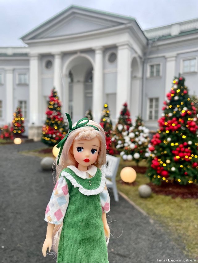 Новогодние прогулки, часть 1 hacohaco doll (фото 9)