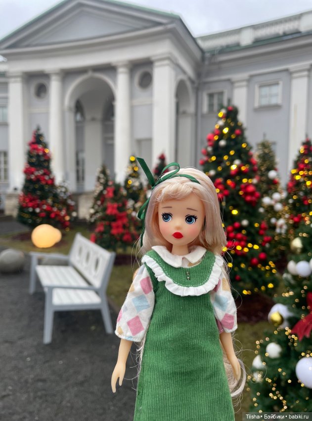 Новогодние прогулки, часть 1 hacohaco doll (фото 8)