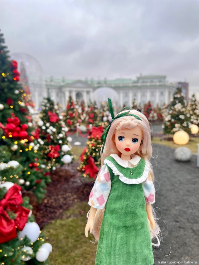 Новогодние прогулки, часть 1 hacohaco doll (фото 6)