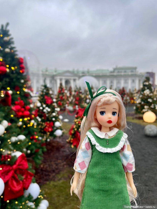 Новогодние прогулки, часть 1 hacohaco doll (фото 5)