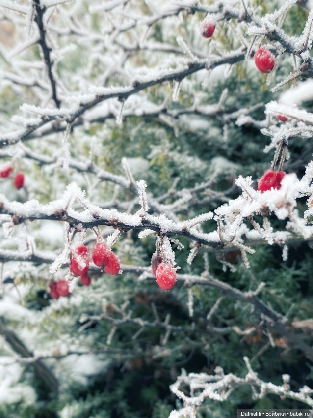 Снежок — Авторские куклы BJD (БЖД) у нас дома: фото (фото 6)