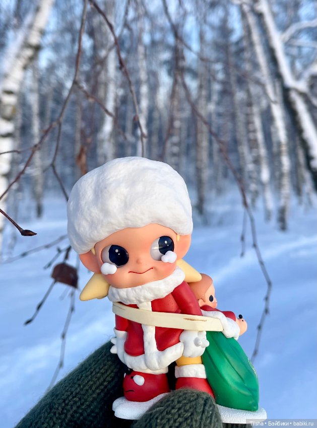 Первый зимний день с Zsiga (фото 3)