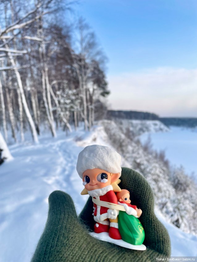 Первый зимний день с Zsiga (фото 10)