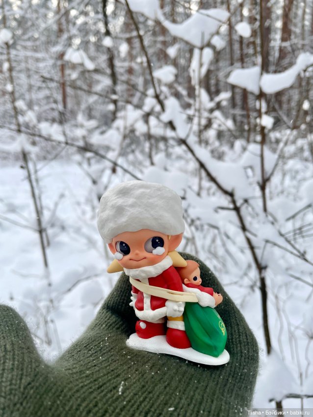 Первый зимний день с Zsiga