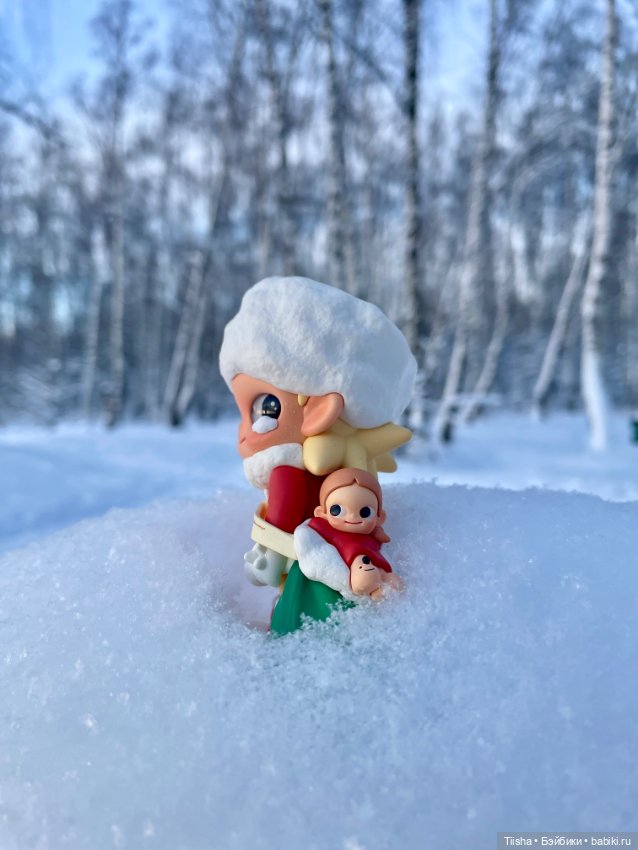 Первый зимний день с Zsiga