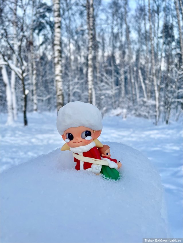 Первый зимний день с Zsiga (фото 5)