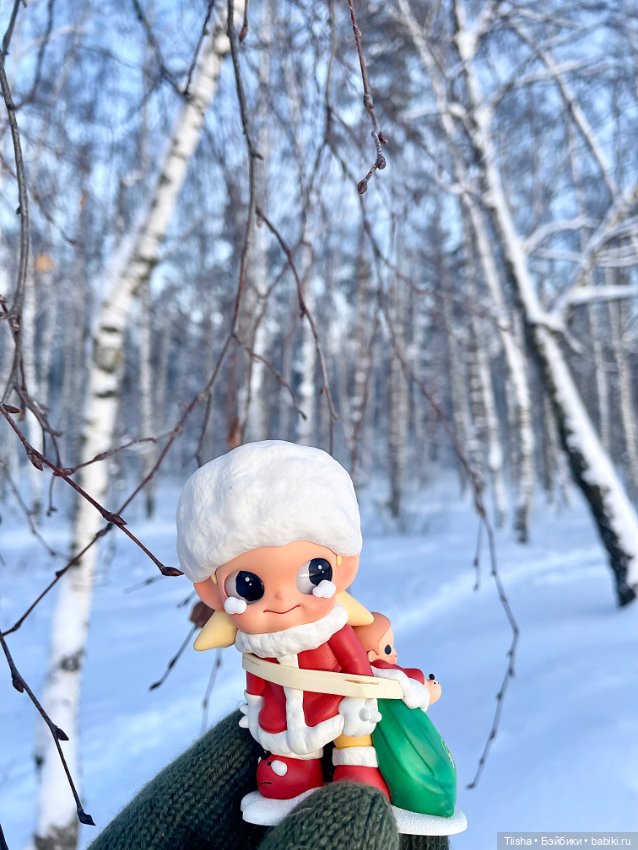 Первый зимний день с Zsiga (фото 7)