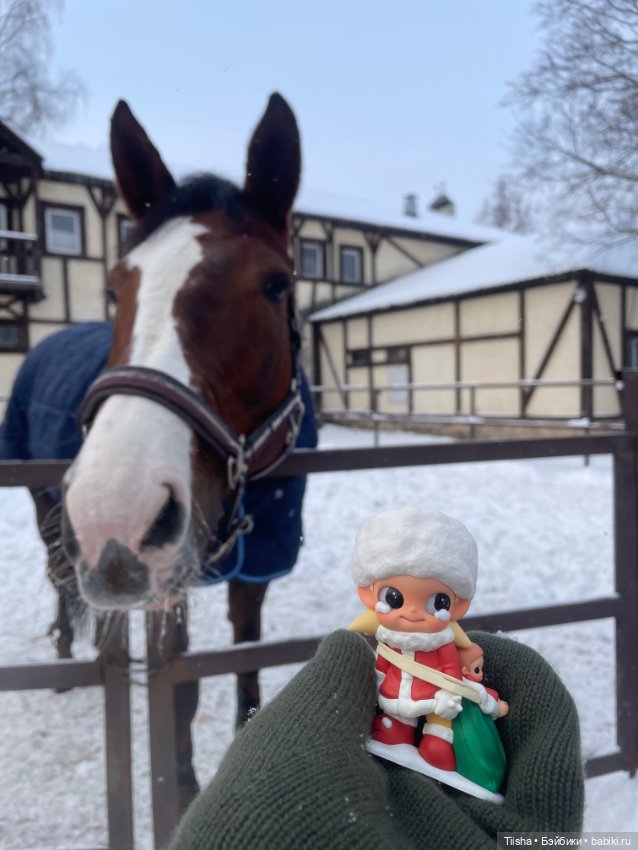 Первый зимний день с Zsiga