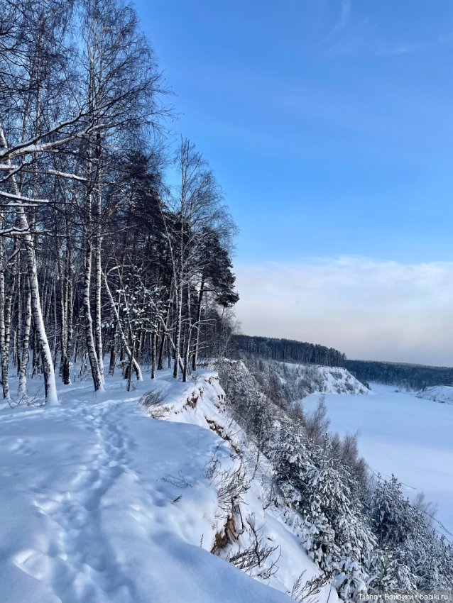 Первый зимний день с Zsiga (фото 8)