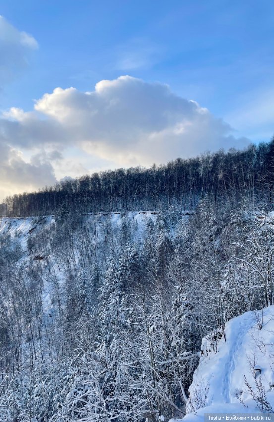 Первый зимний день с Zsiga