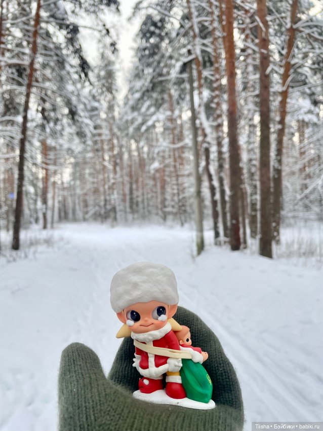 Первый зимний день с Zsiga