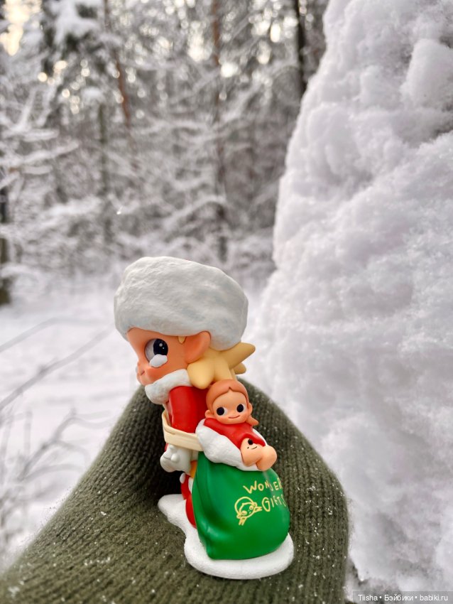 Первый зимний день с Zsiga