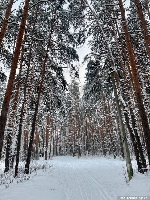 Первый зимний день с Zsiga