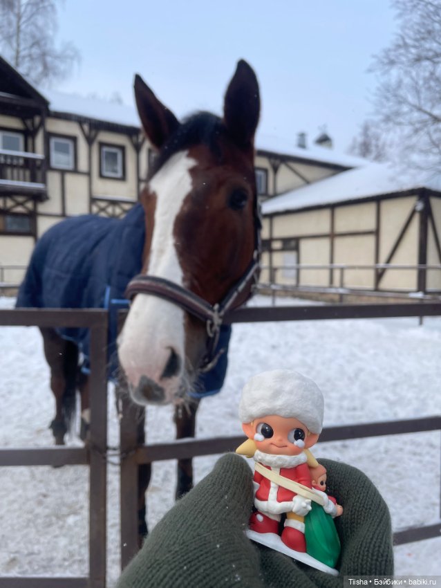 Первый зимний день с Zsiga