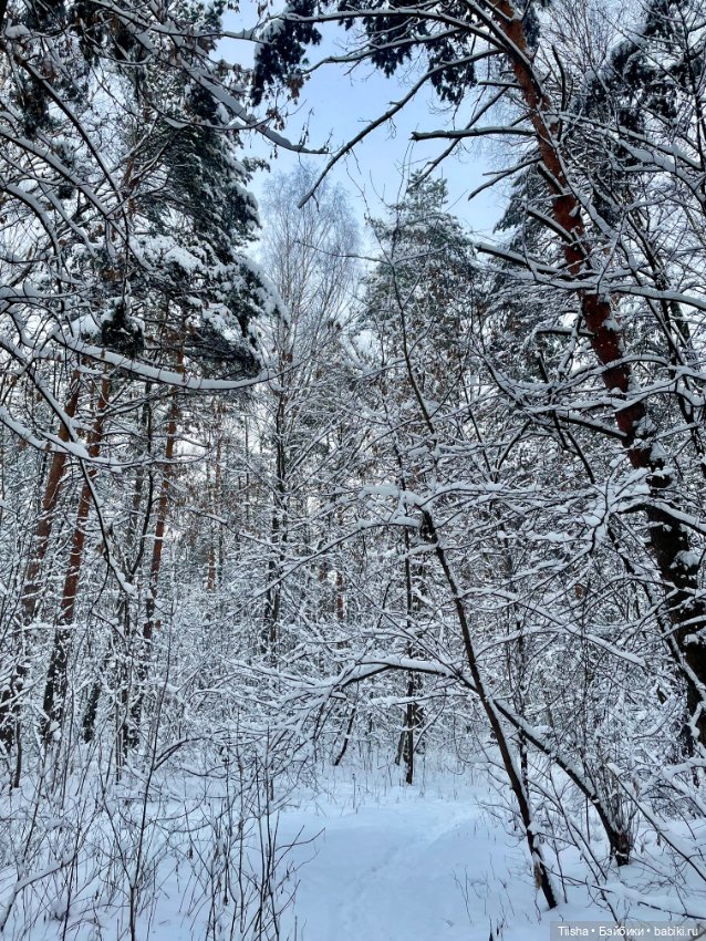 Первый зимний день с Zsiga