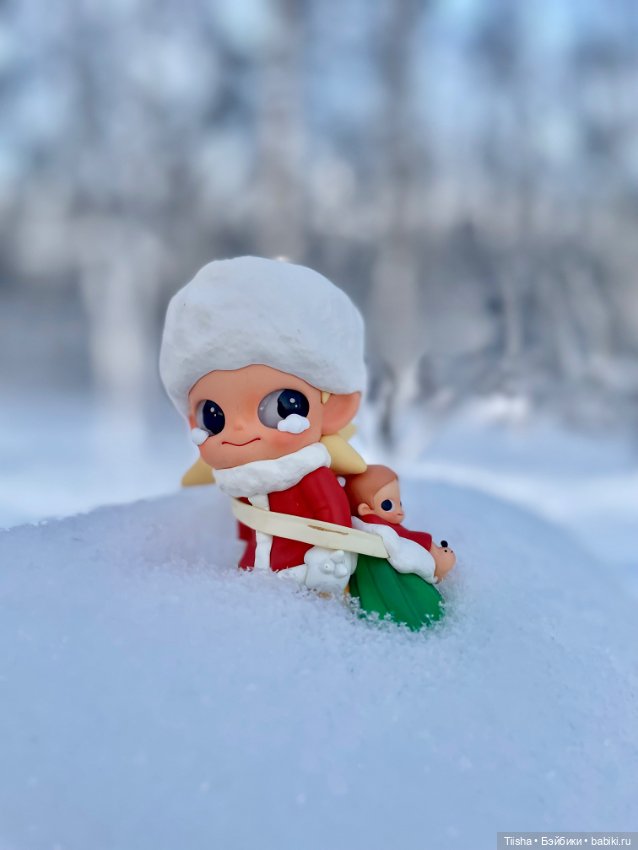 Первый зимний день с Zsiga (фото 4)