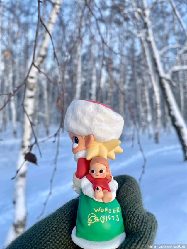 Первый зимний день с Zsiga (фото 6)