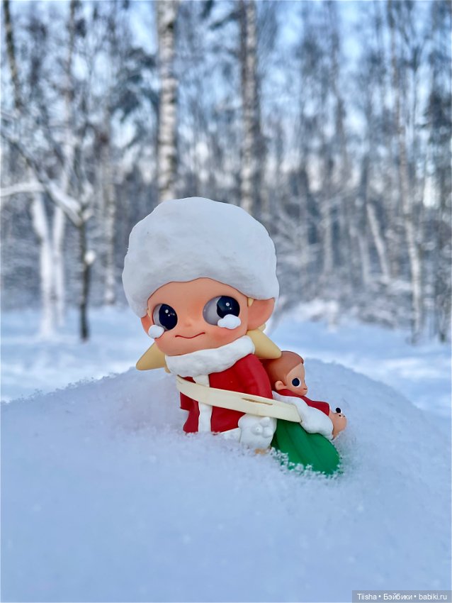 Первый зимний день с Zsiga (фото 2)