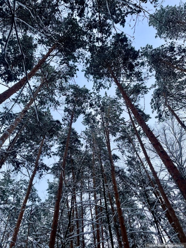 Первый зимний день с Zsiga