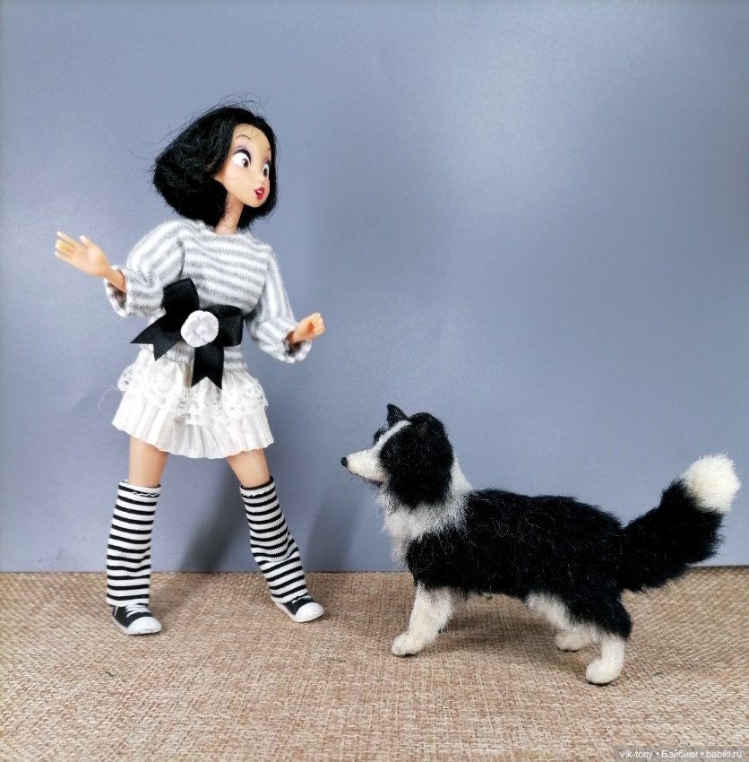 Бордер - колли — Домашние фото авторских игрушек: Тедди