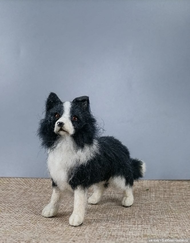 Бордер - колли — Домашние фото авторских игрушек: Тедди (фото 5)