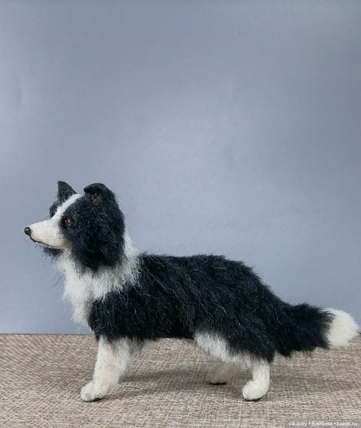 Бордер - колли — Домашние фото авторских игрушек: Тедди (фото 4)